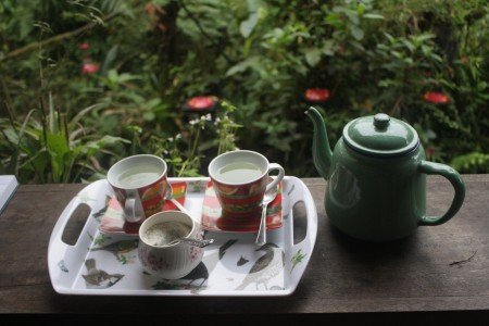 Tea