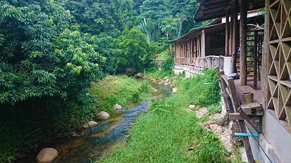 View at a shamanistic retreat